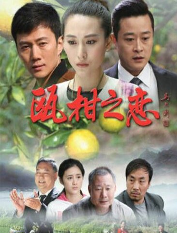 瓯柑之恋