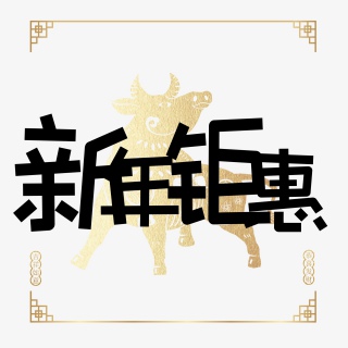 新年钜惠