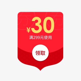 惠券淘宝天猫京东电商促销满减优惠券