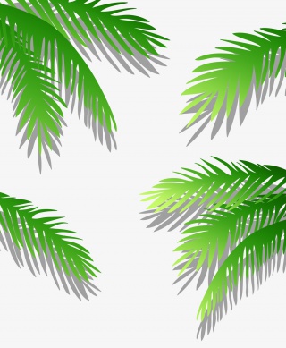 手绘绿色创意椰子叶子
