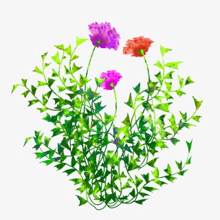 立夏花朵手绘叶子绿色