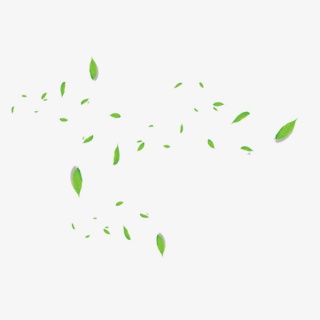 漂浮的小树叶