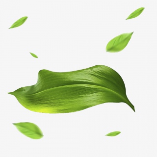 茶叶素材