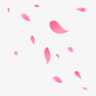 粉红色玫瑰可爱清新花瓣