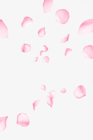 漂浮花瓣
