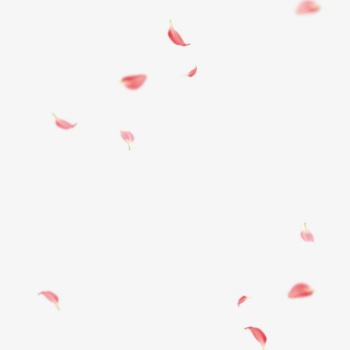 粉色漂浮的桃花瓣免扣