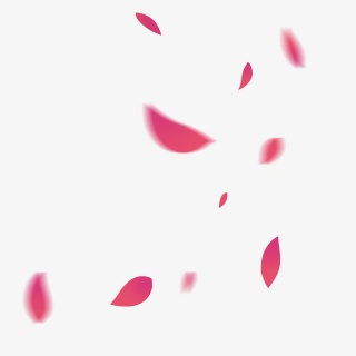 粉红色唯美飘落花瓣