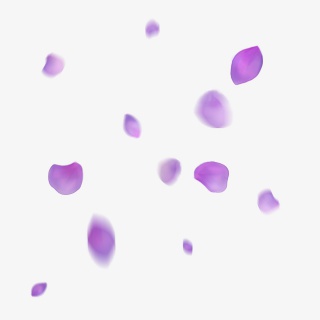 漂浮的紫色花瓣手绘绣球花瓣飘落