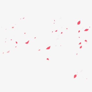 花瓣飞舞