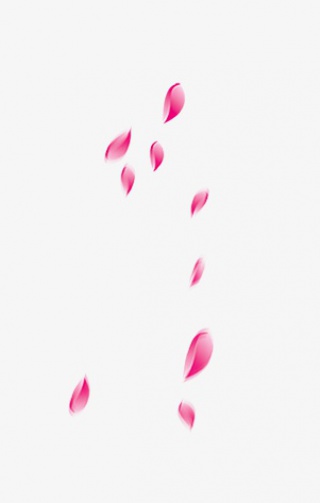浪漫花瓣玫瑰花瓣漂浮