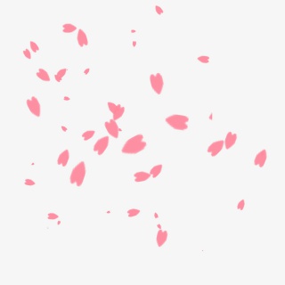 樱花花瓣飘落漂浮元素