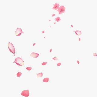 粉红色花瓣装饰元素
