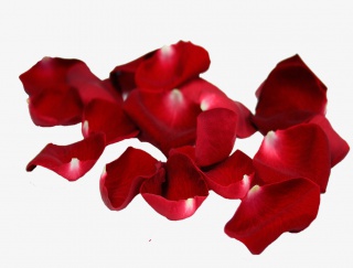 玫瑰花瓣