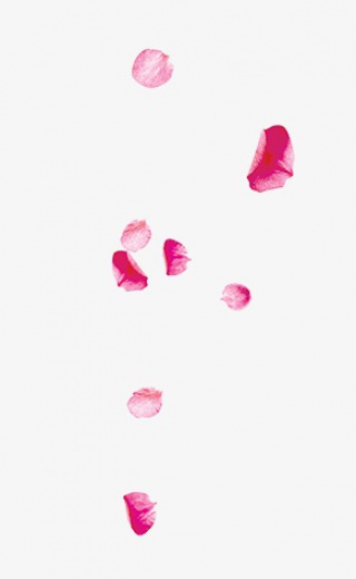 漂浮浪漫花瓣玫瑰花瓣