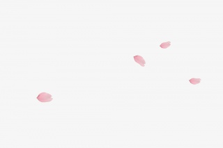 粉色花瓣高清png素材桃花