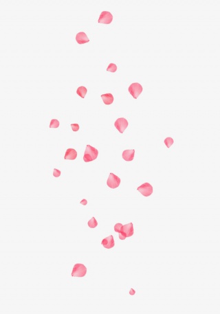 粉色桃花花瓣