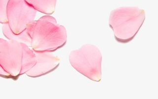 五彩漂浮花瓣