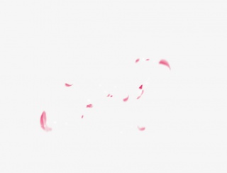 妇女节装饰花瓣