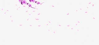 花瓣雨