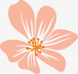粉色花瓣