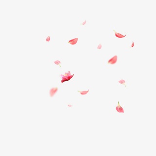 飘落花瓣元素