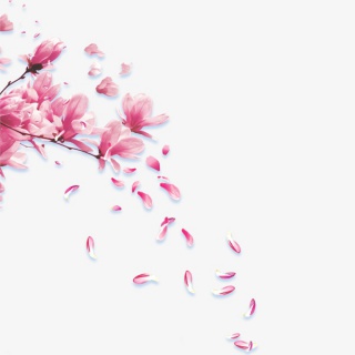 木棉花花瓣飘落素材