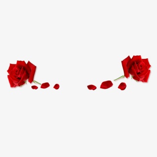 一支玫瑰花花瓣素材PNG
