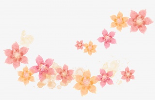 粉色花瓣装饰
