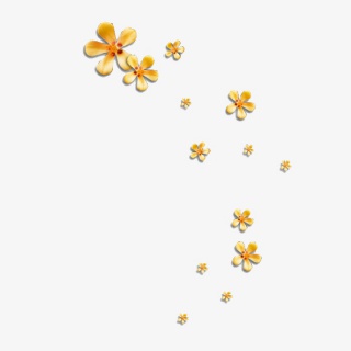 花瓣漂浮物