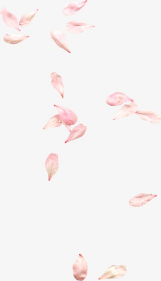漂落花瓣