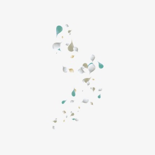 花瓣漂浮元素