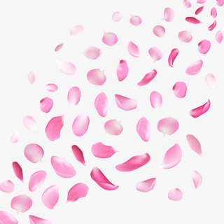 粉色樱花花瓣PNG元素