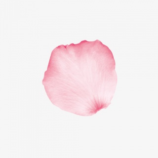 五彩漂浮花瓣