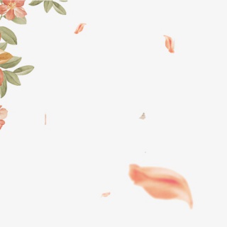 飘落的粉色花瓣