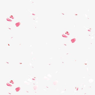 漂浮的粉色花瓣