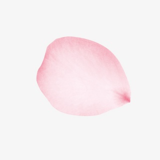 五彩漂浮花瓣