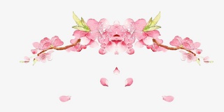 手绘鲜花花瓣