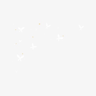 蝴蝶