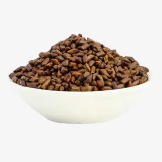 产品实物保健决明子茶