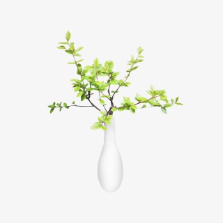 实拍绿色绿植花瓶景观摆件