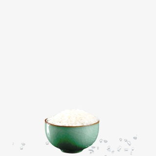 白色的世界粮食日标题