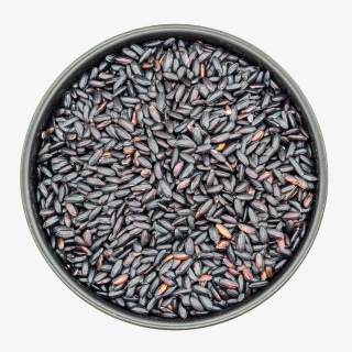 黑米农作物粮食