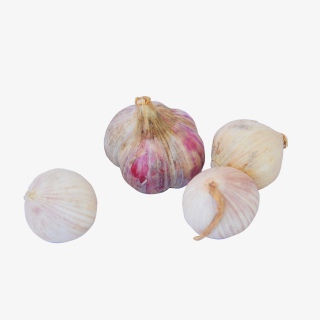 大蒜蒜蒜头蔬菜有机蔬菜绿色蔬菜