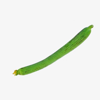 有机蔬菜丝瓜实物拍摄