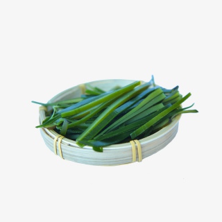 新鲜海带实物摄影拍摄