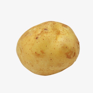 有机蔬菜土豆实物摄影拍摄