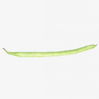 四季豆蔬菜免抠实物png素材