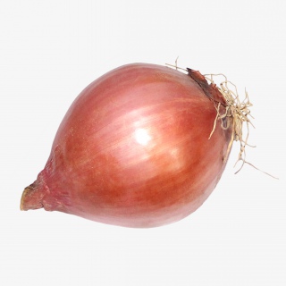 洋葱蔬菜免抠实物png素材