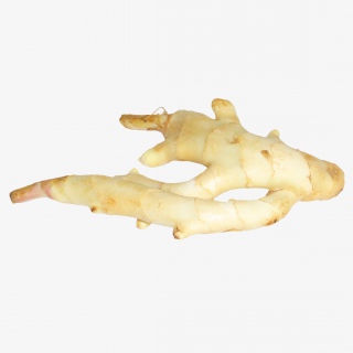 生姜蔬菜免抠png素材