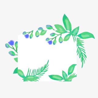 小清新植物边框png
